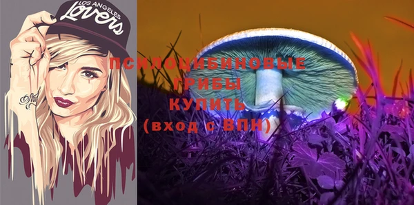 apvp Медногорск